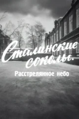 Сталинские соколы. Расстрелянное небо