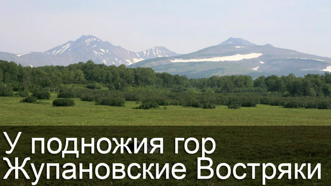 Передача У подножия гор Жупановские Востряки
