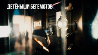 Детёныши бегемотов