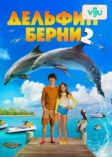Дельфин Берни 2