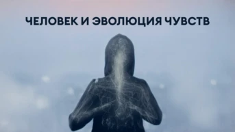 Человек и эволюция чувств