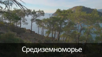 Средиземноморье