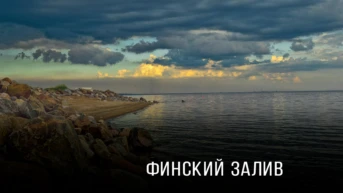 Финский залив