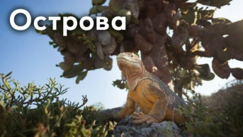 Острова