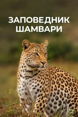 Заповедник Шамвари