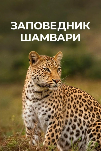 Заповедник Шамвари