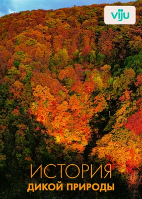 История дикой природы