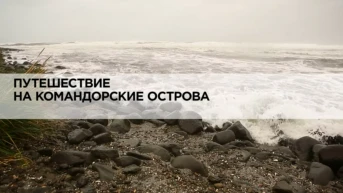 Путешествие на Командорские острова