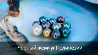 Чёрный жемчуг Полинезии