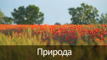 Природа