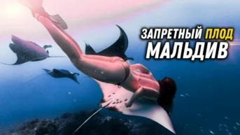 Мальдивы. Дика Денис и Алёна