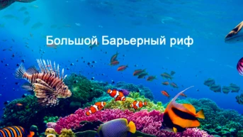 Большой Барьерный риф