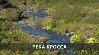 Река Кросса
