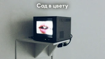Сад в цвету