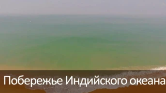 Побережье Индийского океана