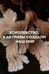 Королевство. Как грибы создали наш мир
