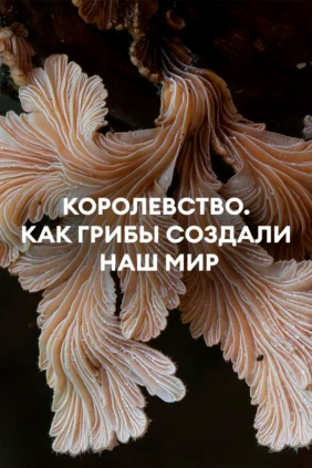 Королевство. Как грибы создали наш мир