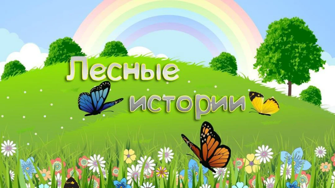 Передача Лесные истории