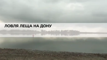 Ловля леща на Дону
