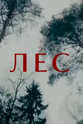 Лес