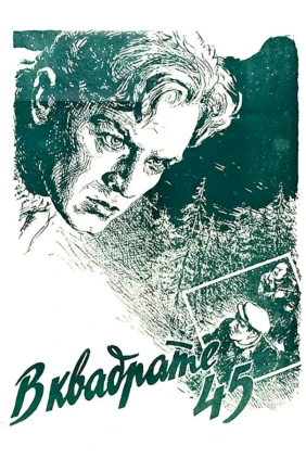 В квадрате 45