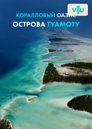 Коралловый оазис острова Туамоту