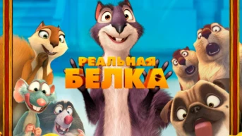Реальная белка