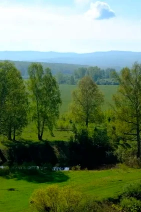Азапкина поляна