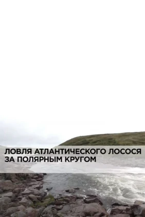 Ловля атлантического лосося за полярным кругом