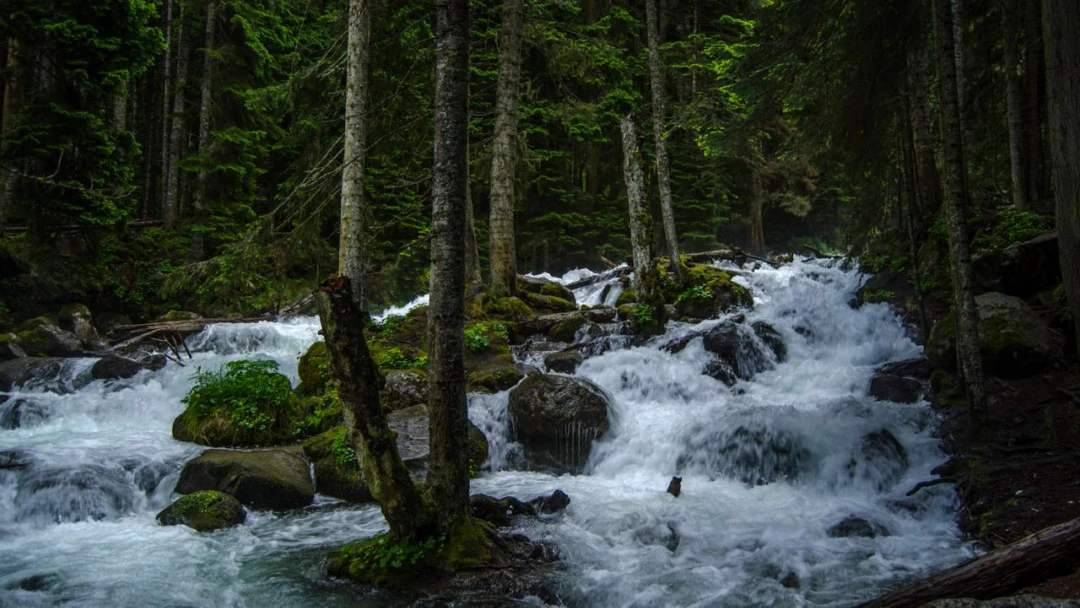 Передача Водопад Шумка