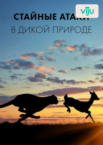 1 серия