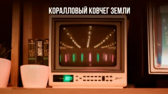 Коралловый ковчег Земли