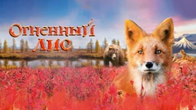 Трейлер 1