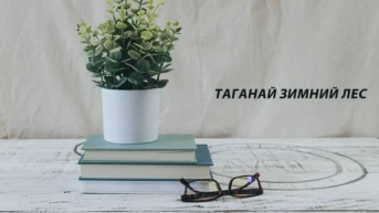 Таганай зимний лес