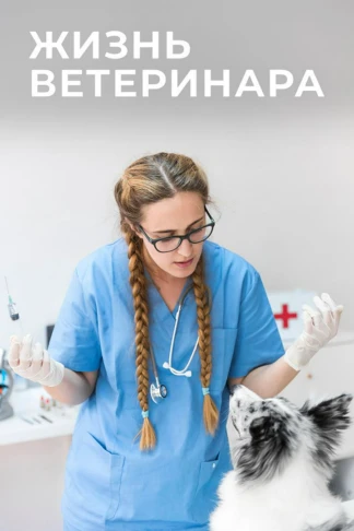 Будни ветеринара: за кадром