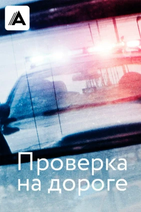 Проверка на дороге