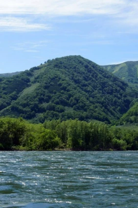 Река Быстрая