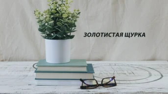 Золотистая Щурка