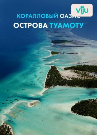 Коралловый оазис острова Туамоту