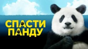 Трейлер 1