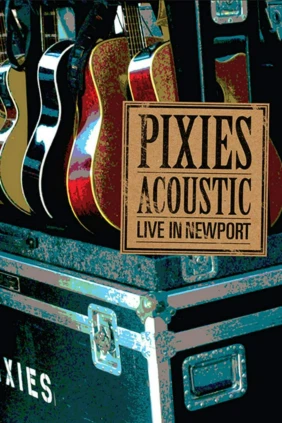 Pixies - Acoustic - Live in Newport