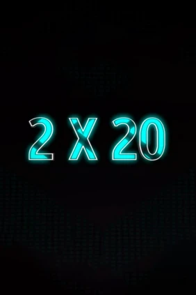 2х20