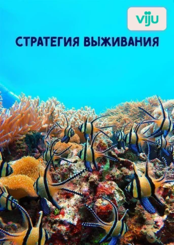 1 серия