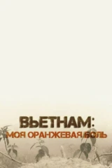 Вьетнам: моя оранжевая боль