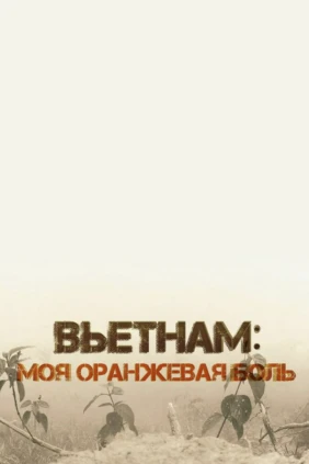 Вьетнам: моя оранжевая боль