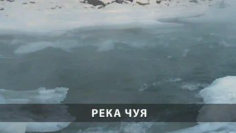 Река Чуя