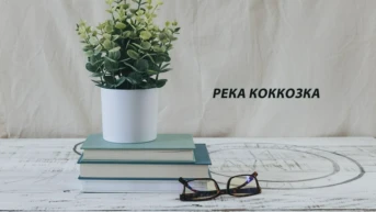 Река Коккозка