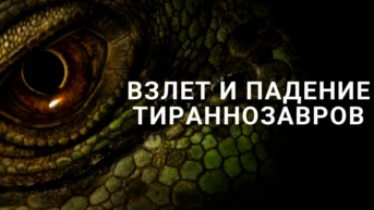 Взлёт и падение тираннозавров