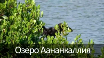 Озеро Аананкаллия