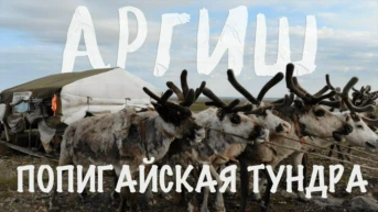 Аргиш - Павел Макаров